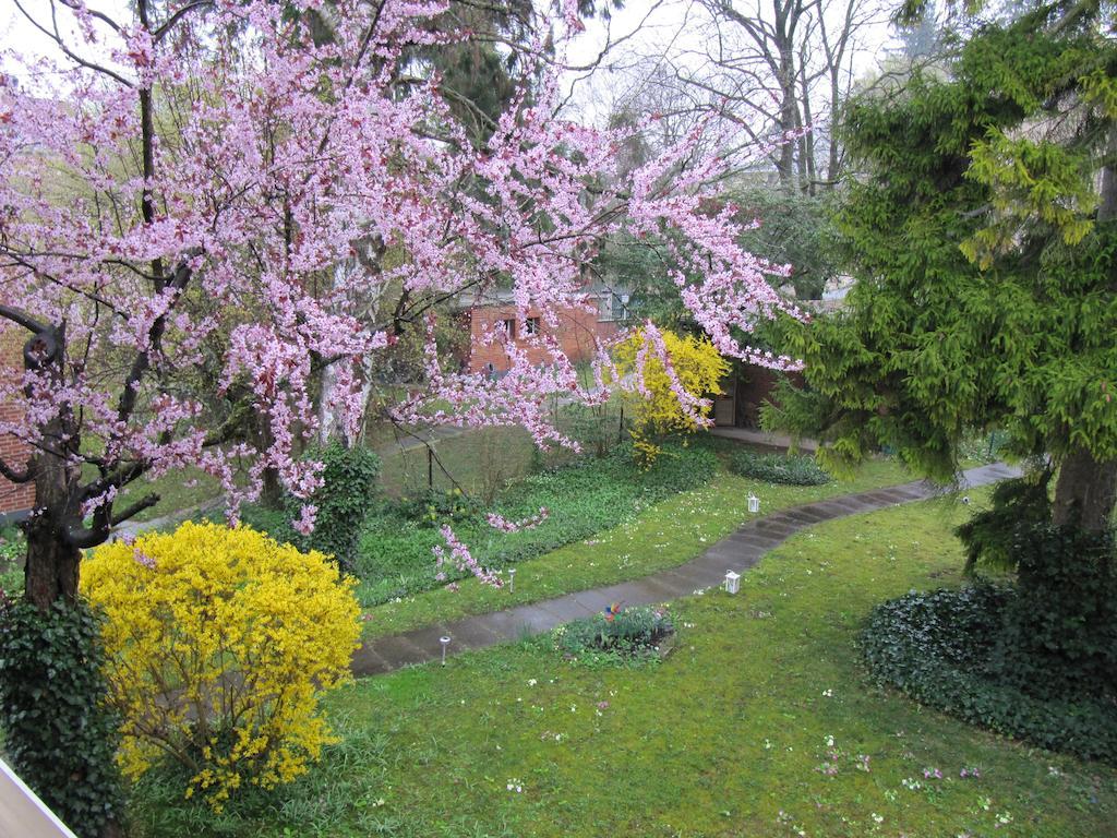 Chez Jean Et Daisy Bed & Breakfast Riehen ภายนอก รูปภาพ
