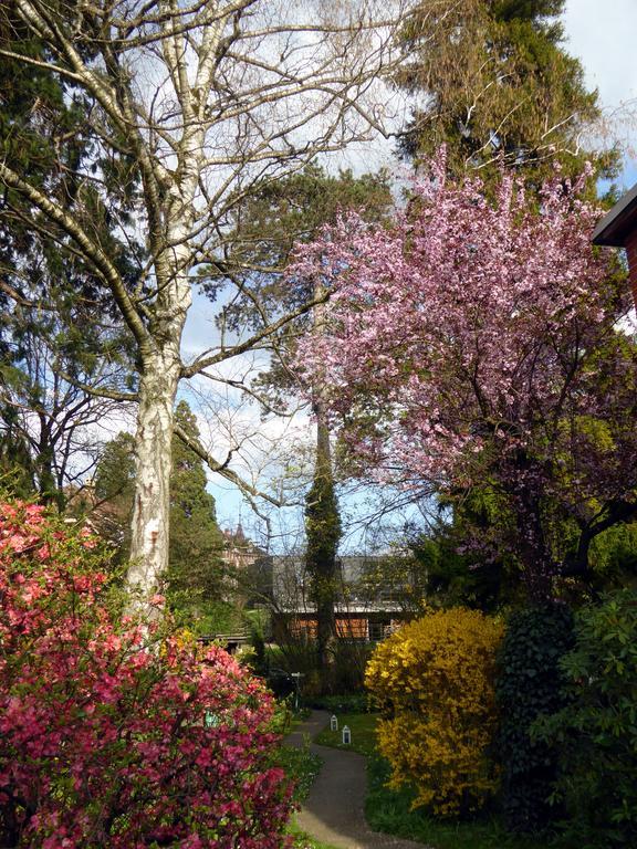 Chez Jean Et Daisy Bed & Breakfast Riehen ภายนอก รูปภาพ